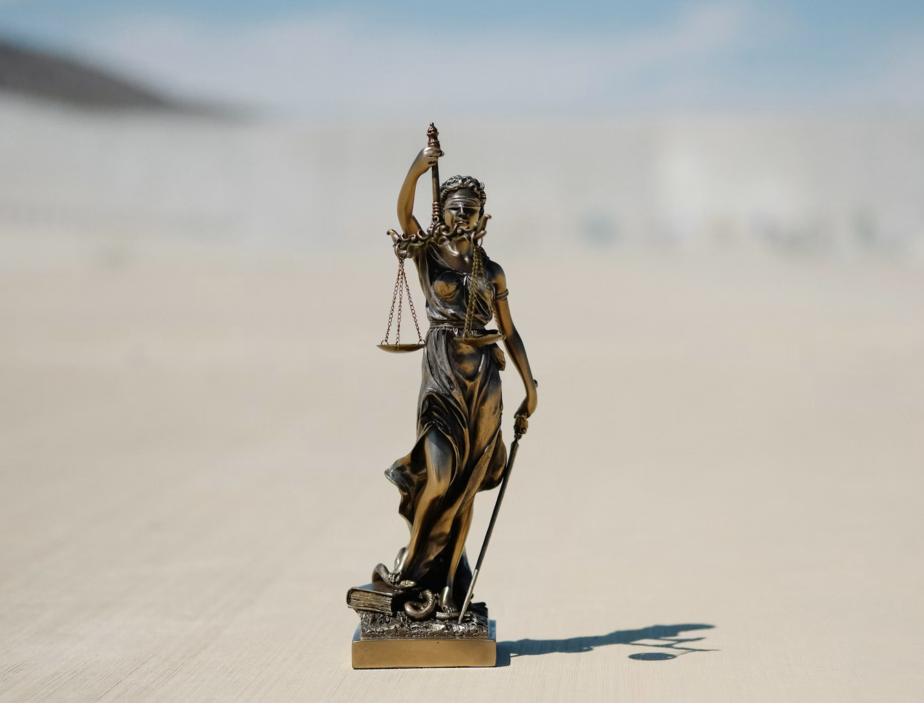 Lawyer portrait